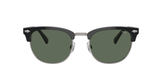 Polo Ralph Lauren PH4217 Sunglasses | LensCrafters
