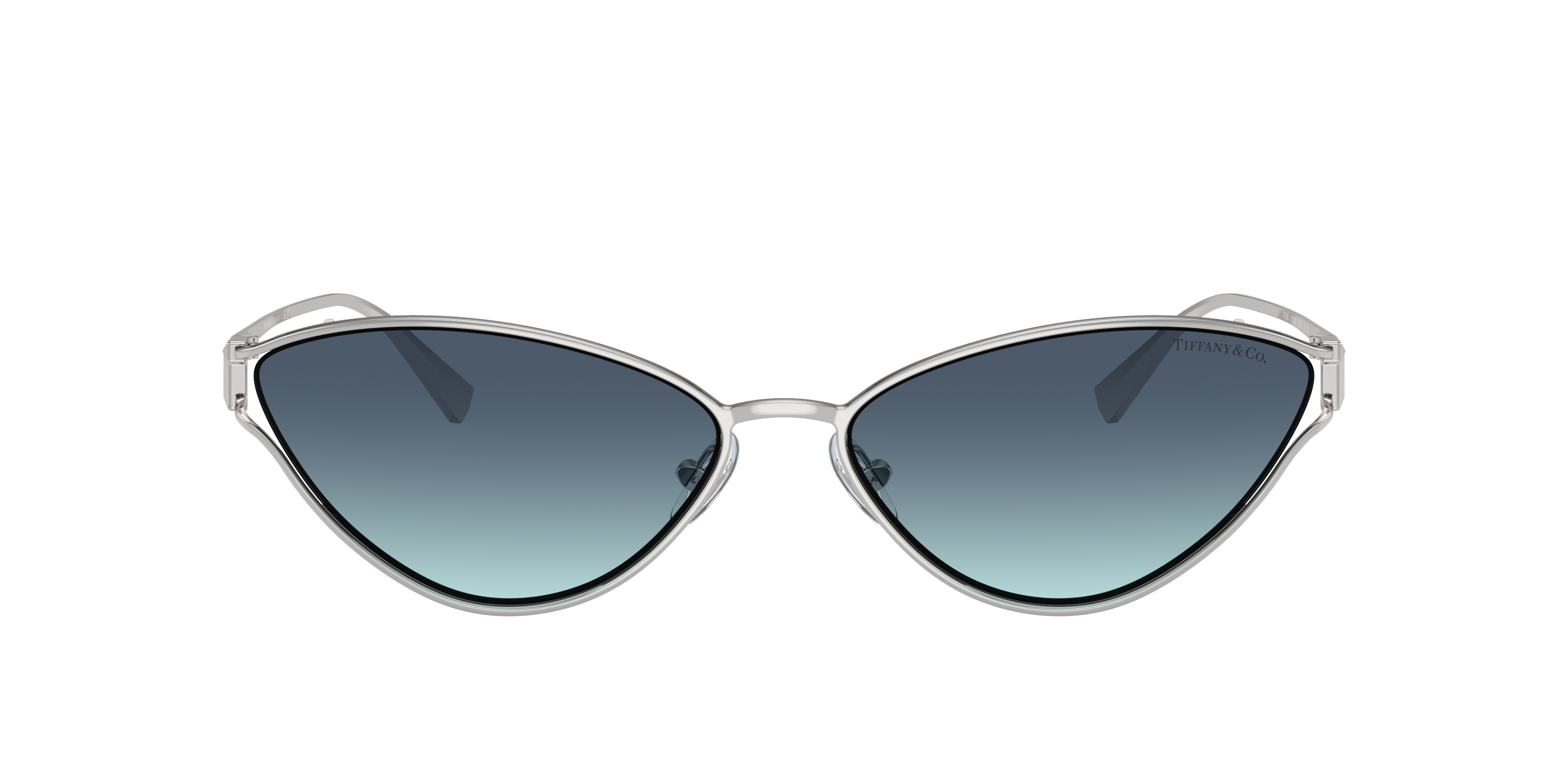 55,000から35,000Tiffany & Co. 2点セット Tiffany TF2160B Eyeglasses | LensCrafters