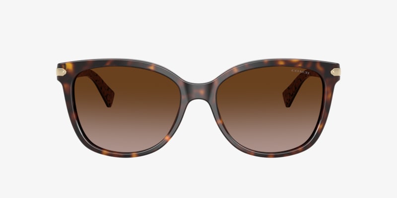 Coach HC8132 HC8132 L109 Dark Tortoise