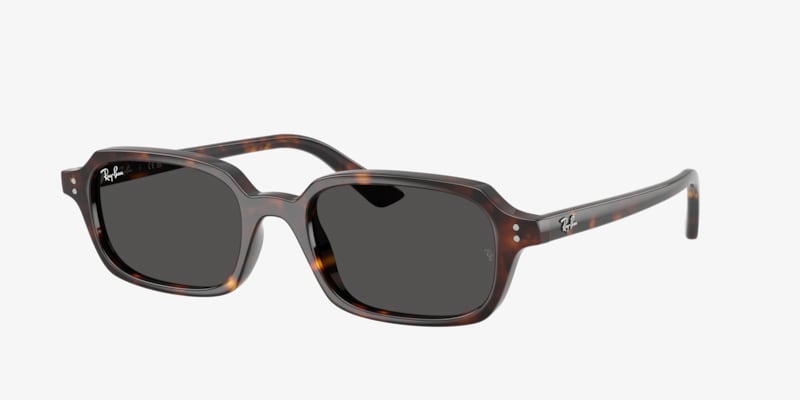 Ray-Ban ZAYA BIO-BASEDスクエア サングラス ZAYA BIO-BASED Sunglasses in Black and Dark Grey Polar