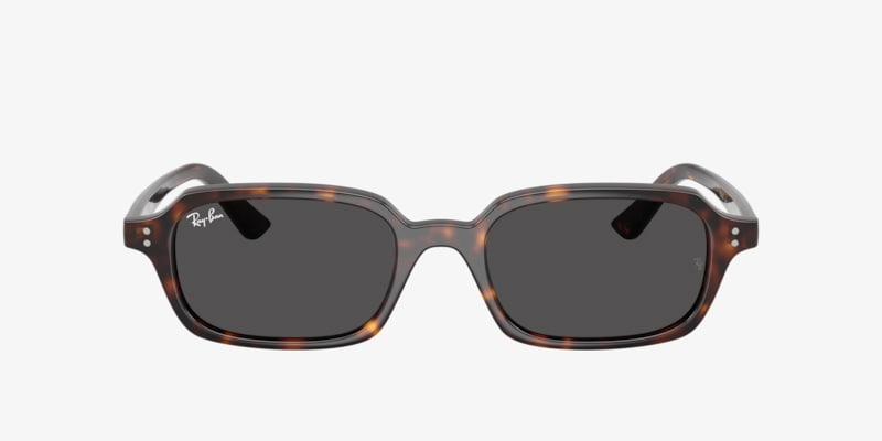 Ray-Ban RB4456 Zaya Bio-Based Sunglasses | LensCrafters
