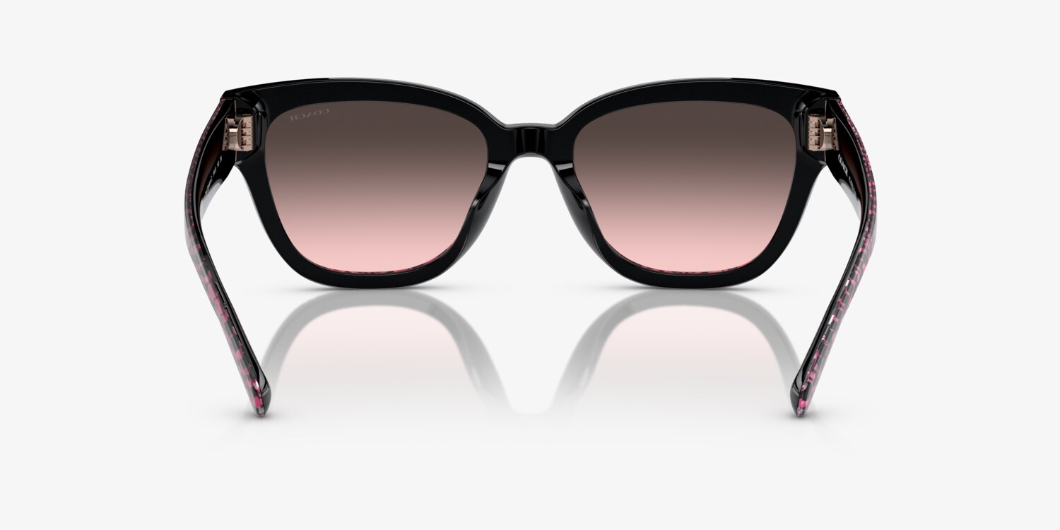 Coach HC8379U CL920 Sunglasses | LensCrafters