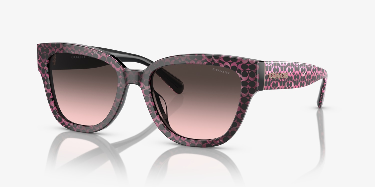 Coach HC8379U CL920 Sunglasses | LensCrafters