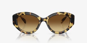 Swarovski SK6005 Sunglasses | LensCrafters