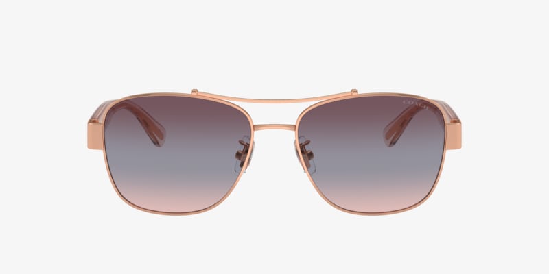 Michael Kors MK1160 Biarritz Sunglasses | LensCrafters