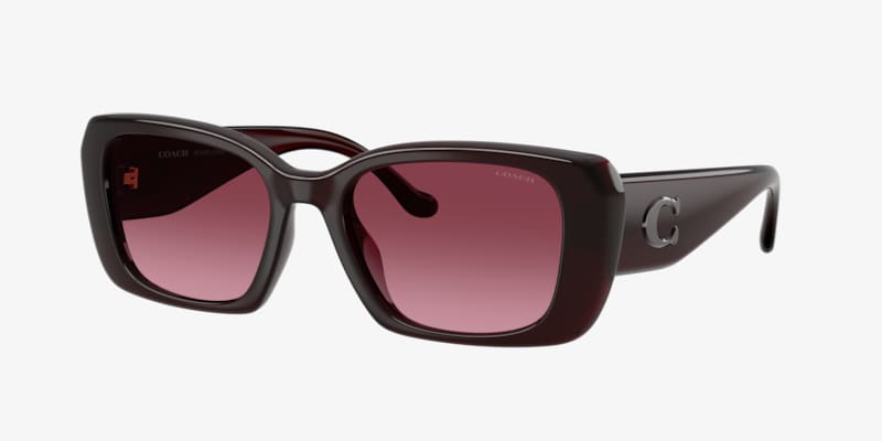 Coach HC8443D CBY84 Sunglasses | LensCrafters