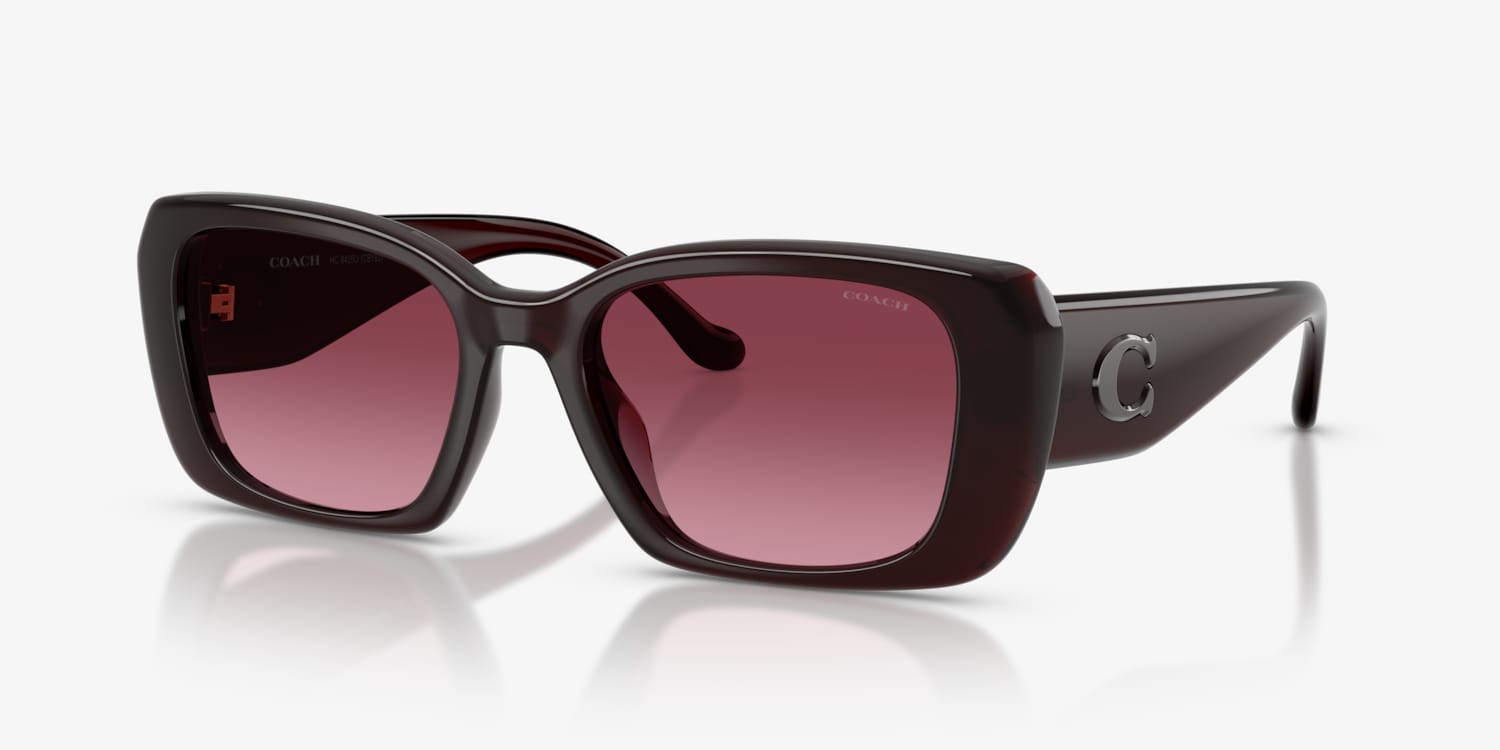 Coach HC8435U CBY82 Sunglasses | LensCrafters