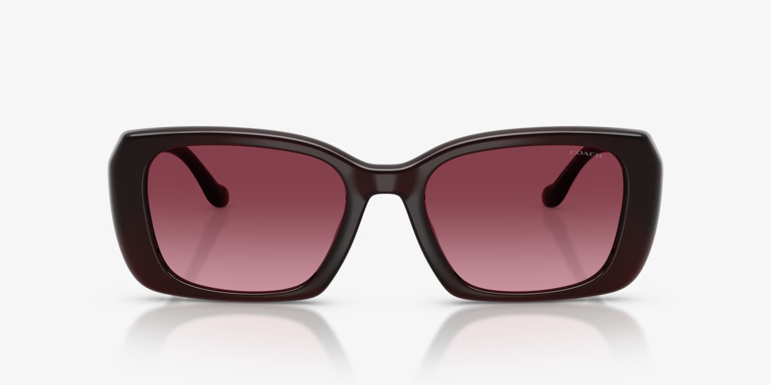 Coach HC8435U CBY82 Sunglasses | LensCrafters