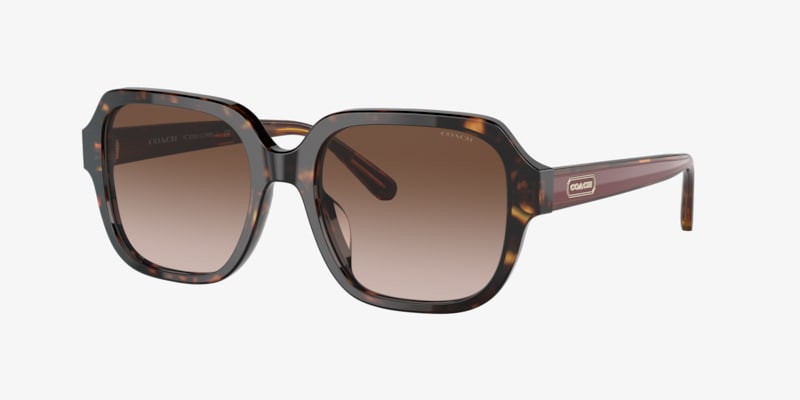 Coach HC8323U C6185 Sunglasses | LensCrafters