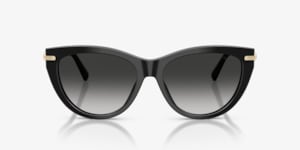 Tiffany TF4253 Sunglasses | LensCrafters
