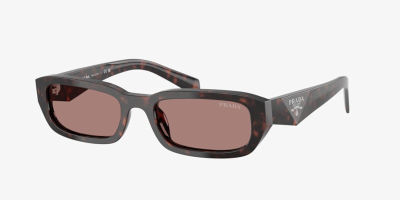 Prada PR B06S PR B06S Root Tortoise