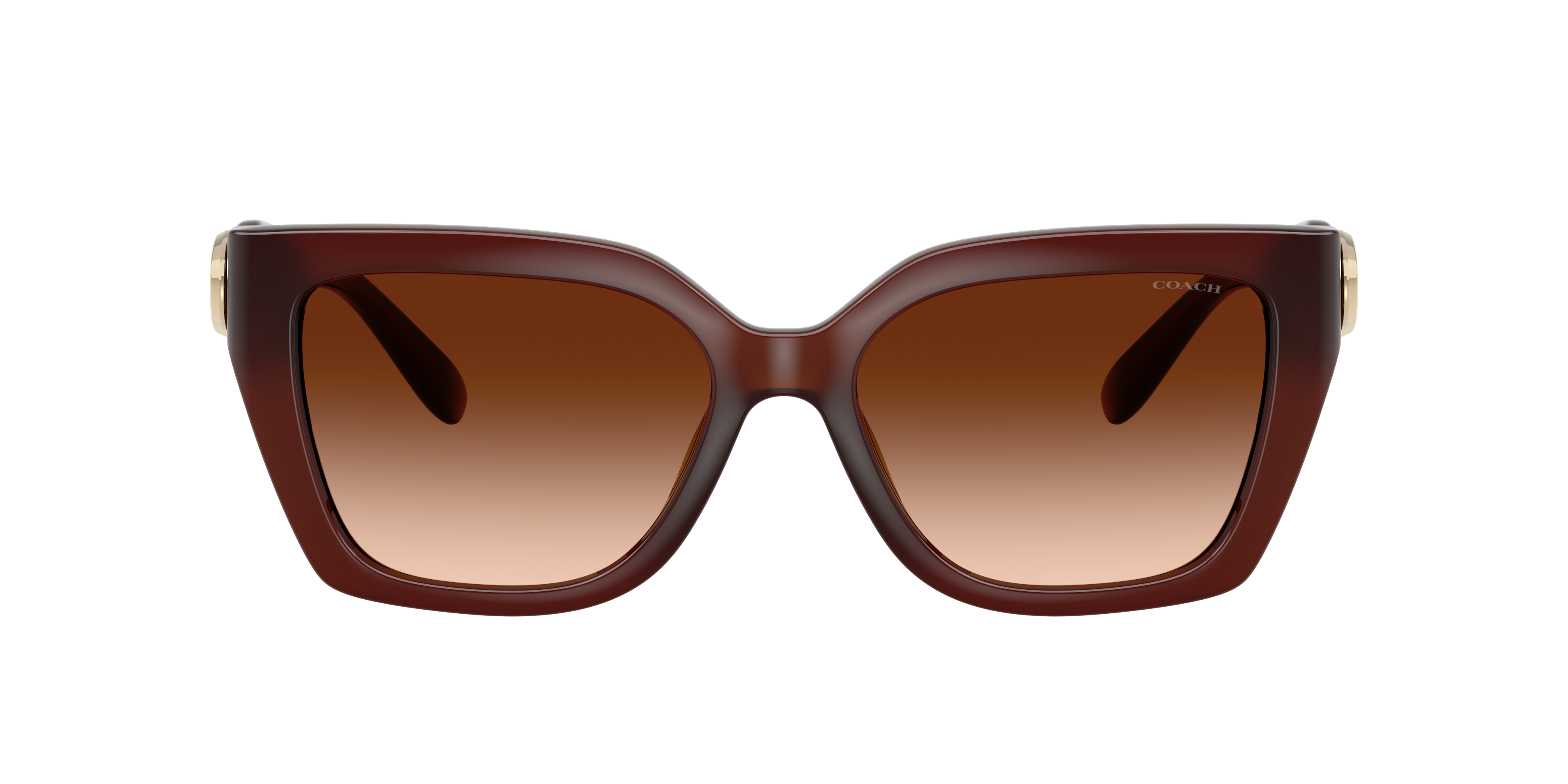 Coach HC8408U CW195 Sunglasses | LensCrafters