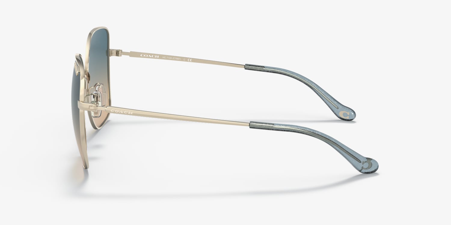 Coach HC7133 C7997 Sunglasses | LensCrafters