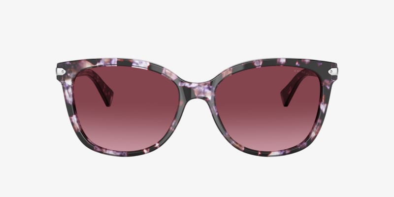 Coach HC8132 HC8132 L109 Purple Tortoise