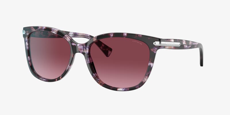 Coach HC8132 HC8132 L109 Purple Tortoise