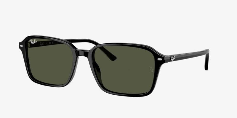 Ray-Ban RB2231 Raimond Sunglasses | LensCrafters