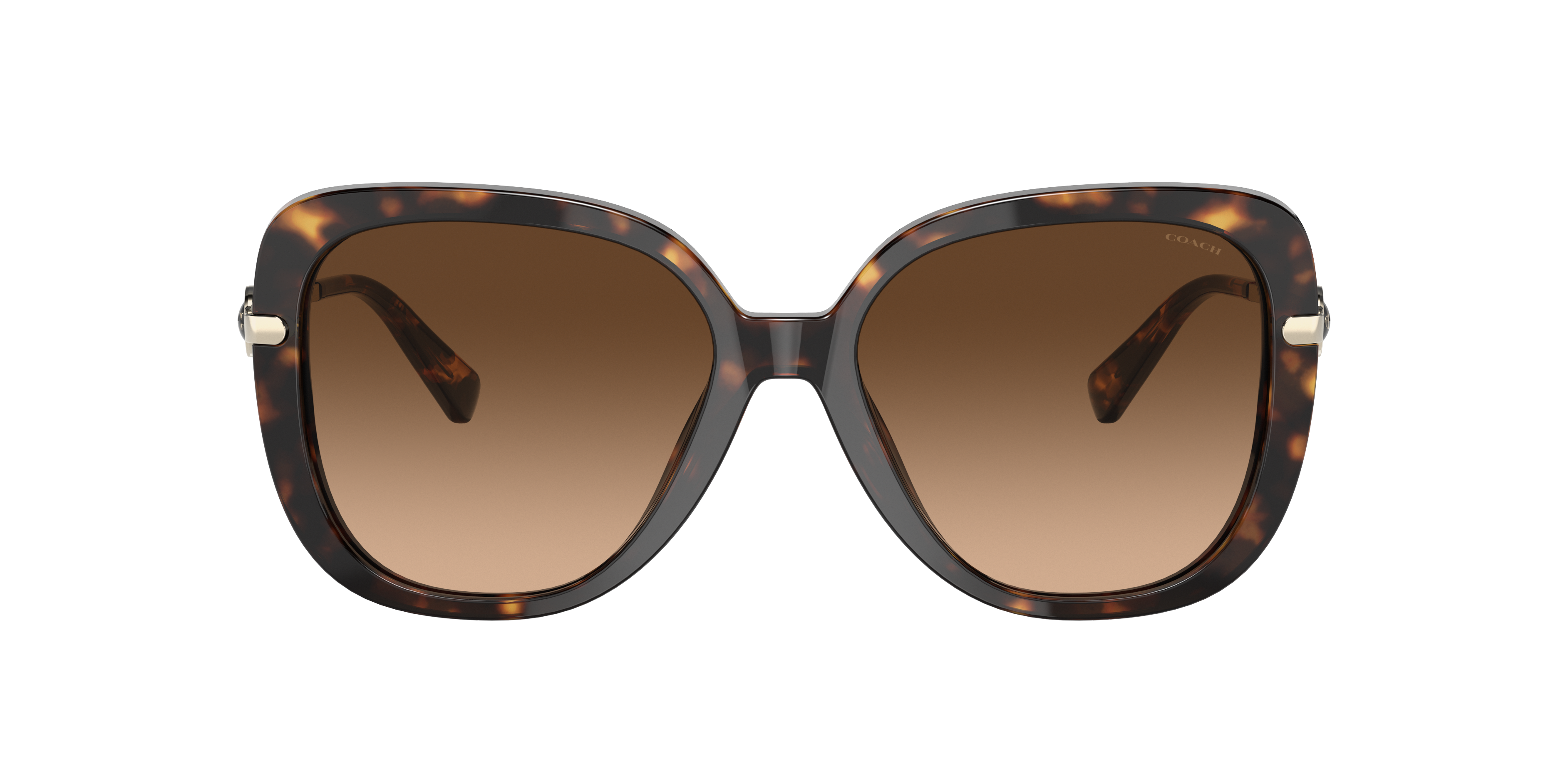 Coach HC8320 C6180 Sunglasses | LensCrafters