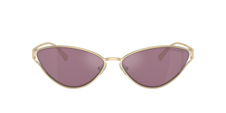 55,000から35,000Tiffany & Co. 2点セット Tiffany TF3095 Sunglasses | LensCrafters