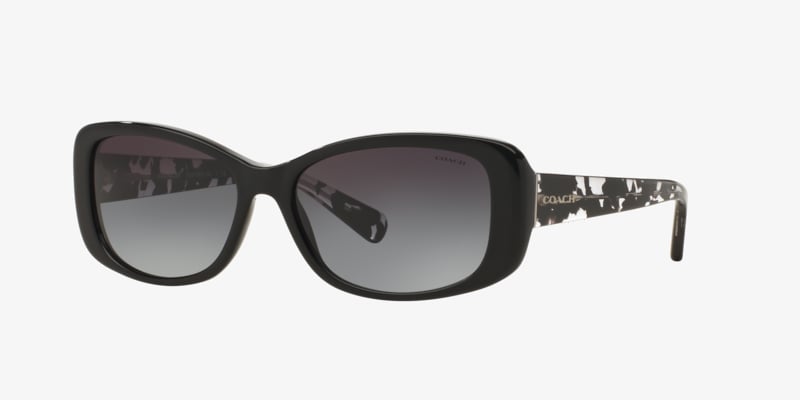 Coach HC8116 L087 Blair Sunglasses | LensCrafters