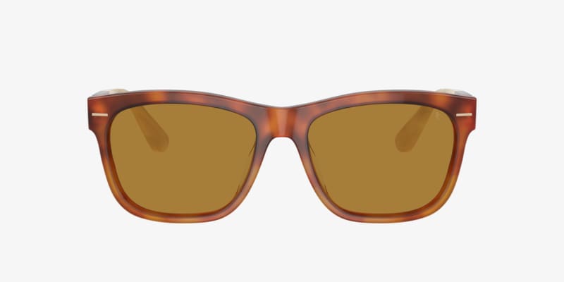 Brunelli Cucinelli Sunglasses & Eyeglasses - Cucinelli