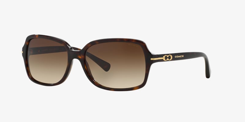 Coach HC8168 L156 Sunglasses | LensCrafters
