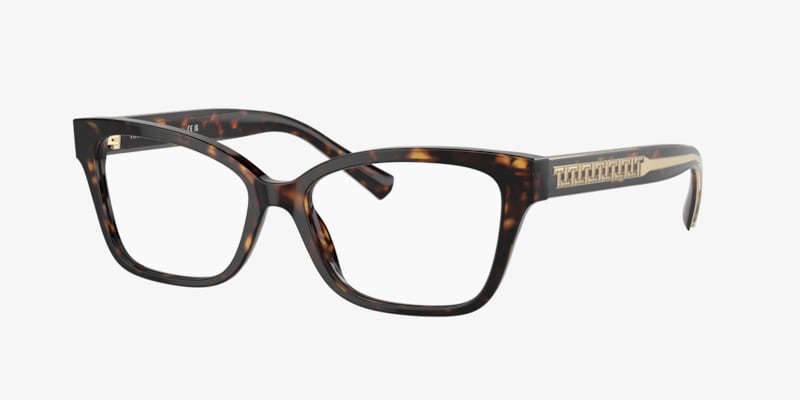 Jimmy Choo JC3008 Eyeglasses | LensCrafters