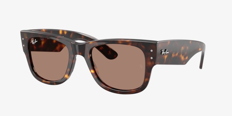 Ray-Ban RB4940B Wayfarer Puffer Crystal Edition Sunglasses