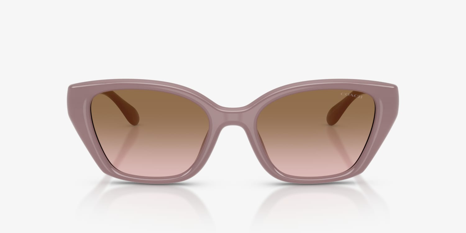 Coach HC8434U CBY91 Sunglasses | LensCrafters