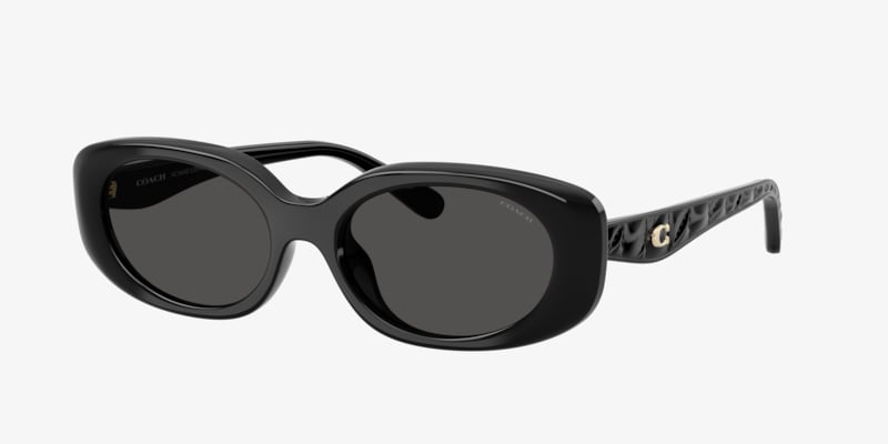 Coach HC8435U CBY82 Sunglasses | LensCrafters